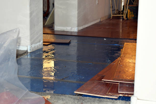 Professional Flood Damage Repair technician working in Port Townsend, WA